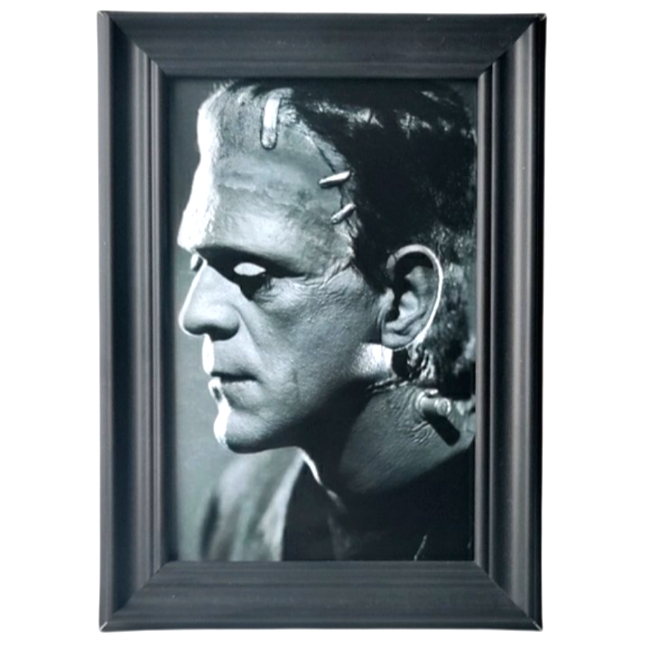 Frankenstein Vintage Cult Classic Horror Monster Universal Punk Rock Goth Emo